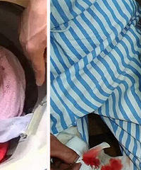 ����һ����ϴ���·���ϴ����2����ָ��