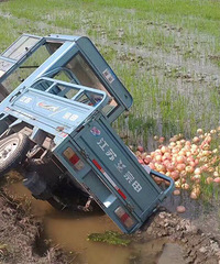 ���ֳ���������ȥ�� ƻ��ɢ��һ�أ�������Ȼ�����ˣ�