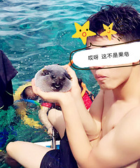 �����ʽ��ѵ���ר��NO.3���߹����߸����ҵķ羰 ȱһ����������