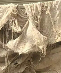 ������20����ľɱ��� ����������