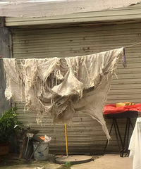 ����׼����20����ǰ�ľɱ��� ������������