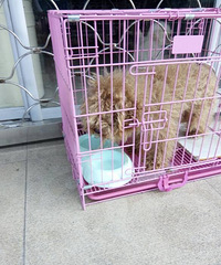 ˭�ҳ��ﹷ���ˣ����İ����������ֶ��ڳ�����ſ�...