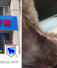 �����̼Ҹ��ҵĹ���һ����� �������ң�