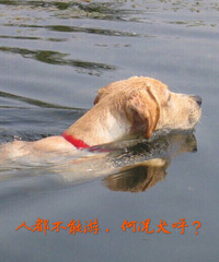 һֻ��ë���Ϻ���Ӿ Ȼ��...�������ˣ�