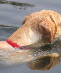 ��ë���Ϻ���Ӿ Ȼ�󱻲���...