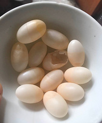 ������˵������������ڹ�����һ�ѵ�����