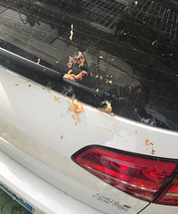 �����ϴ�õĳ� �ͱ��������������ӣ�ɶ���ʰ�����