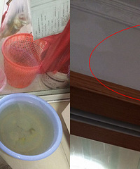 ¥��װ�� �ҼҴ����꣡