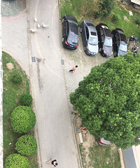 �డ��С���������� ÿ�������¸¸¸£�����ʤ����