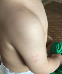 С�����϶�ʮ����������ֹ ���Ϲ�����Ҳ��