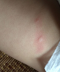 С�����϶�ʮ����������ֹ ���Ϲ�����Ҳ��