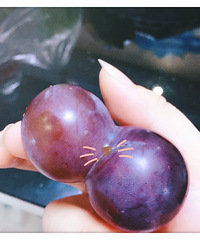 ��д�ķ�����������Ӿ�Ȼ���ܱ�ʶ��