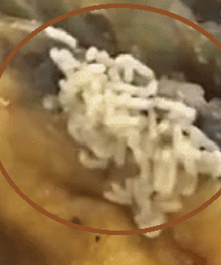 ���ģ�����ĳ��˾��� ��������