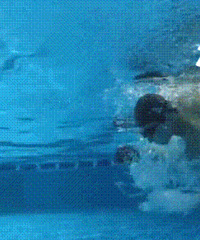 ������Ϯ  ��������ؼ�һ�𴵿յ��ɣ�