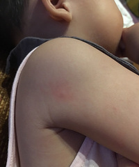 ���ֺ�� ����ϵĳ��� ϯ�ӻ���Ҳû��