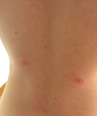 ��Ŀ���ģ�����ȥ����ĳ��Ӿ�ݻ��� ����ȫ��С���