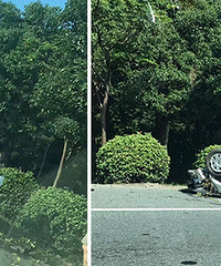 �����˸�ͷ Ů�����ɺõ�����