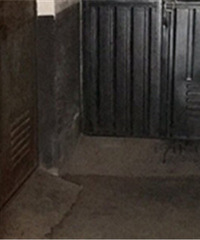 ���г��������¥�µ� �����Ȼʨ�Ӵ󿪿�