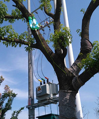 �����ж��ȣ������������ˮ������