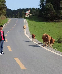 91��GG ����180 ���˾ͷ�Ȥ��Ц �Ը���רһ