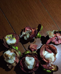 ����ĳˮ����������һ��ɽ�� 10���Ŷ��ǻ���