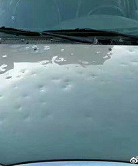 �Ϻ��ֶ��������� ������������Ӱ���