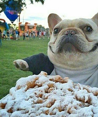 �Σ��ϰ�Ϊ�������Ҹ���Ʊ ��ȻԸ����������������