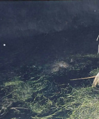 99�����ڼ���ɱ����ʬ 19�����Ϊһ���ͷ��ץ�鰸