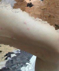 ���������Ӿ�ݣ���Ӿ���� ��Ȼ������������