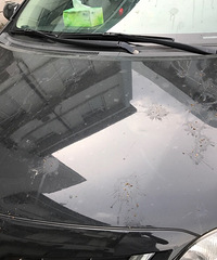 ��ը��¥�����´�Ƭ���� �ҵĳ��ӱ���Ҫ��ϴ