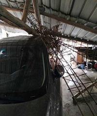 Ҫ���ˣ������嶫һ����������Ǽҳ��ﶼ���� �ҵĳ�������