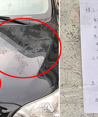 �ھӴ�¥���Ӳ���Һ��ը�� �ҵĳ�����