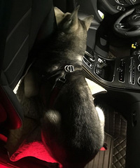 �ڳ��ﶼ�����֣����������ˣ�