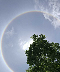 ���������̫��������ۣ�����Ȧ����ˢ���ˣ�