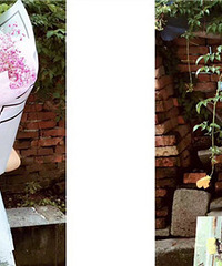 ��������Ҫ666������е��µ� ���һ��������