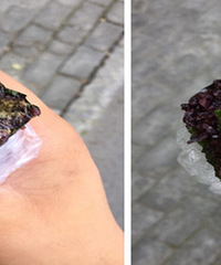 ������׷��ų��� һ��������