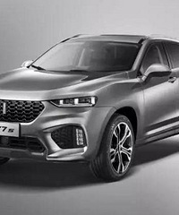 WEY������ս�������氲ȫ���� ���ѣ�һȺ�������ڸ�����·��