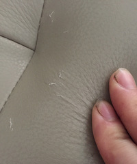 �����Ƥɳ�� ��������Ϳ�����...