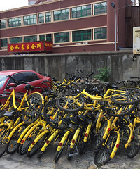 �����������������ε�СŪ�� ��Ȼ����ofo�ķس� ��