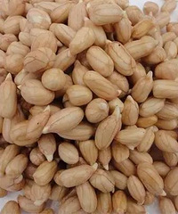 "这3种食物发芽后,不但没毒性,而且营养价值翻倍"