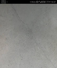 [����]ʲô�����ë������������4�׳��ѷ죡