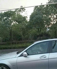 ·��һ������ ��ʻԱ���Ͼ�Ȼ���Ÿ�Ӥ��