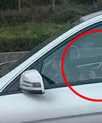 Σ�գ�����˾������������