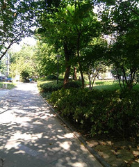 �Լ����˲��˽�Ϳ������� ��ͼ��С��