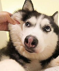 ���浥�����ǵ���ż��׼ ���ѣ�һ��Ҫ����һ��