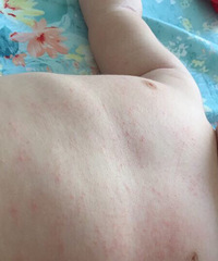 ��������ʪ��ǹ����أ������������������