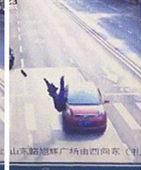 �ţ���԰�������һ�˱�ײ�ɣ���ʱ ����˾�������������