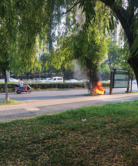 �綯���Ż��� �յĺ�����