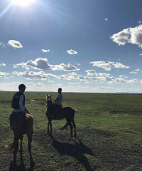 ���������Լ�ȥ���ԭ ���ҽ��ı���֮�ã�