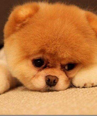 һ�����°�����Ҳû�¸� ��ʱ��������Ҹ���Ʊ��